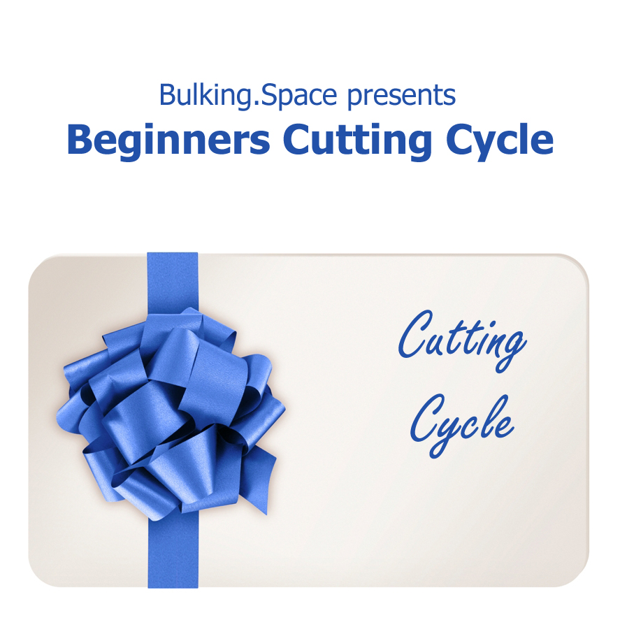 beginners-cutting-cycle-norway